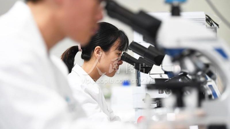 抗体亲和力检测：揭秘方法选择与成本考量
