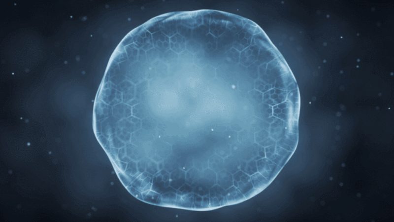 大分子生物药外包生产：揭秘行业背后的技术奥秘**