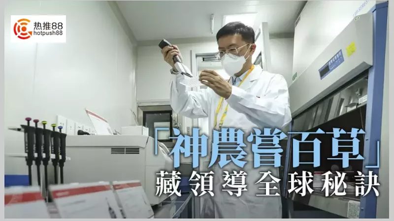 实验室细胞培养基配制：关键步骤与注意事项**