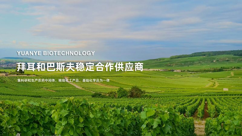 PCR实验室装修：揭秘价格构成与关键要素