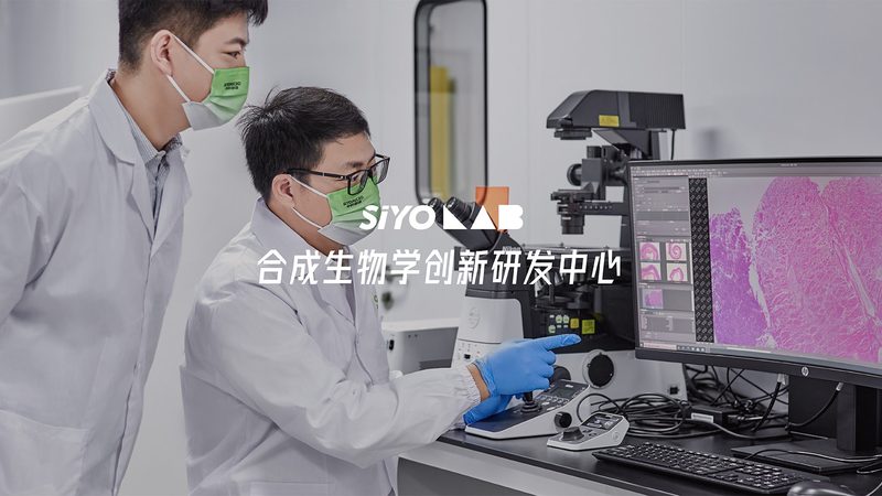 饲料用酶不是越多越好