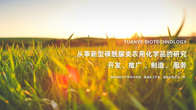 基因检测主要分为以下几类：