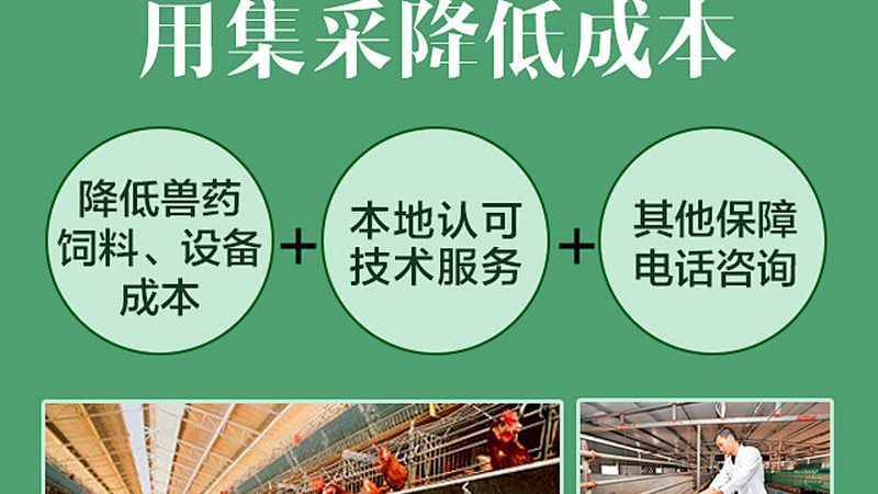 RNA提取试剂盒纯化步骤详解：关键环节与注意事项