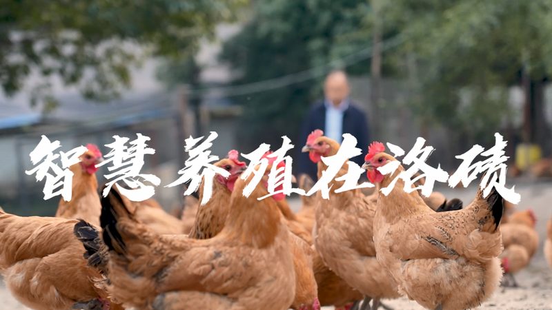 PCR检测价格波动背后的行业逻辑