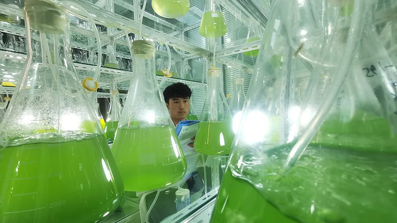 实验室耗材规格参数：揭秘标准背后的奥秘